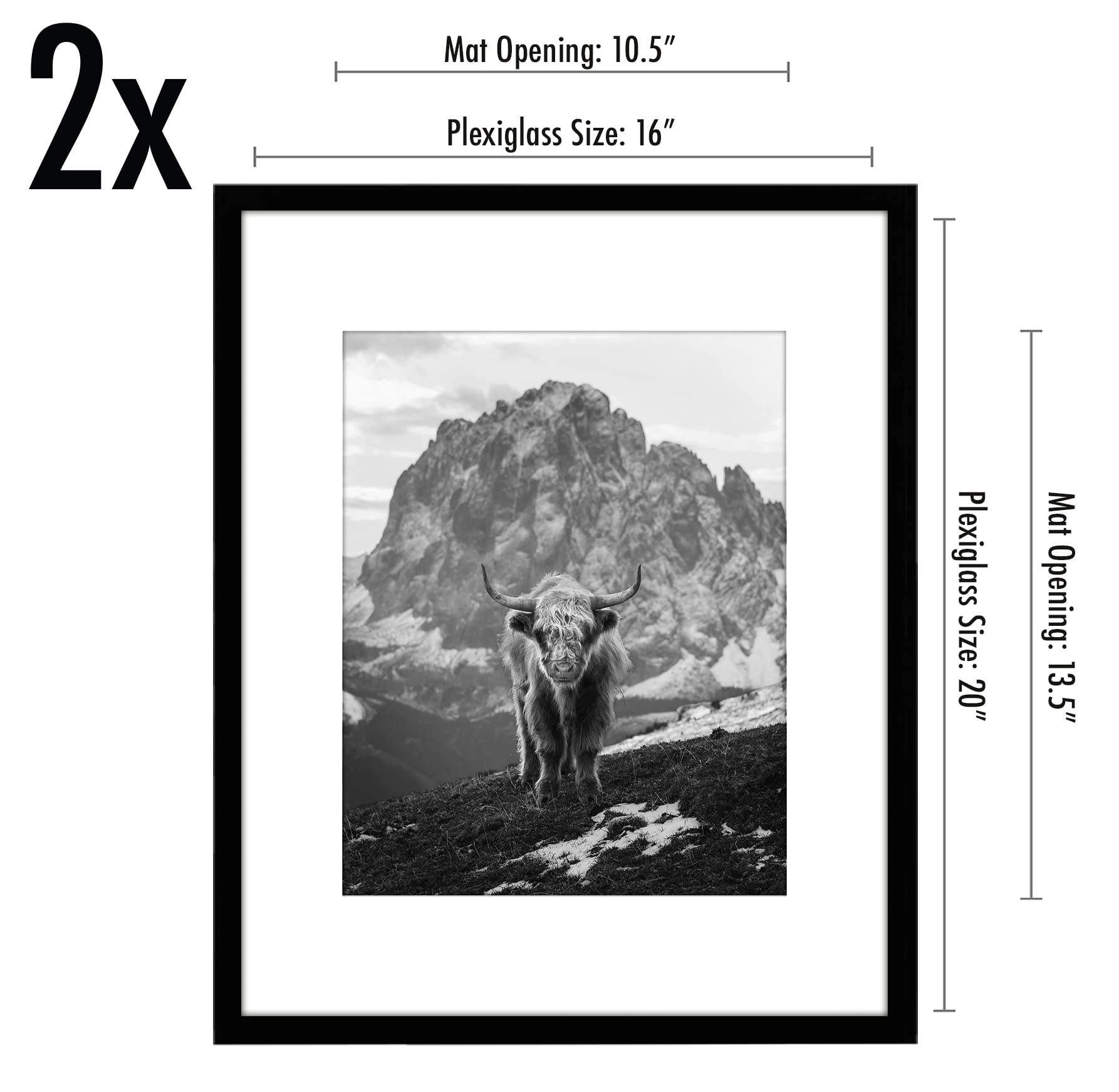 Front Loading Picture Frame - 16X20