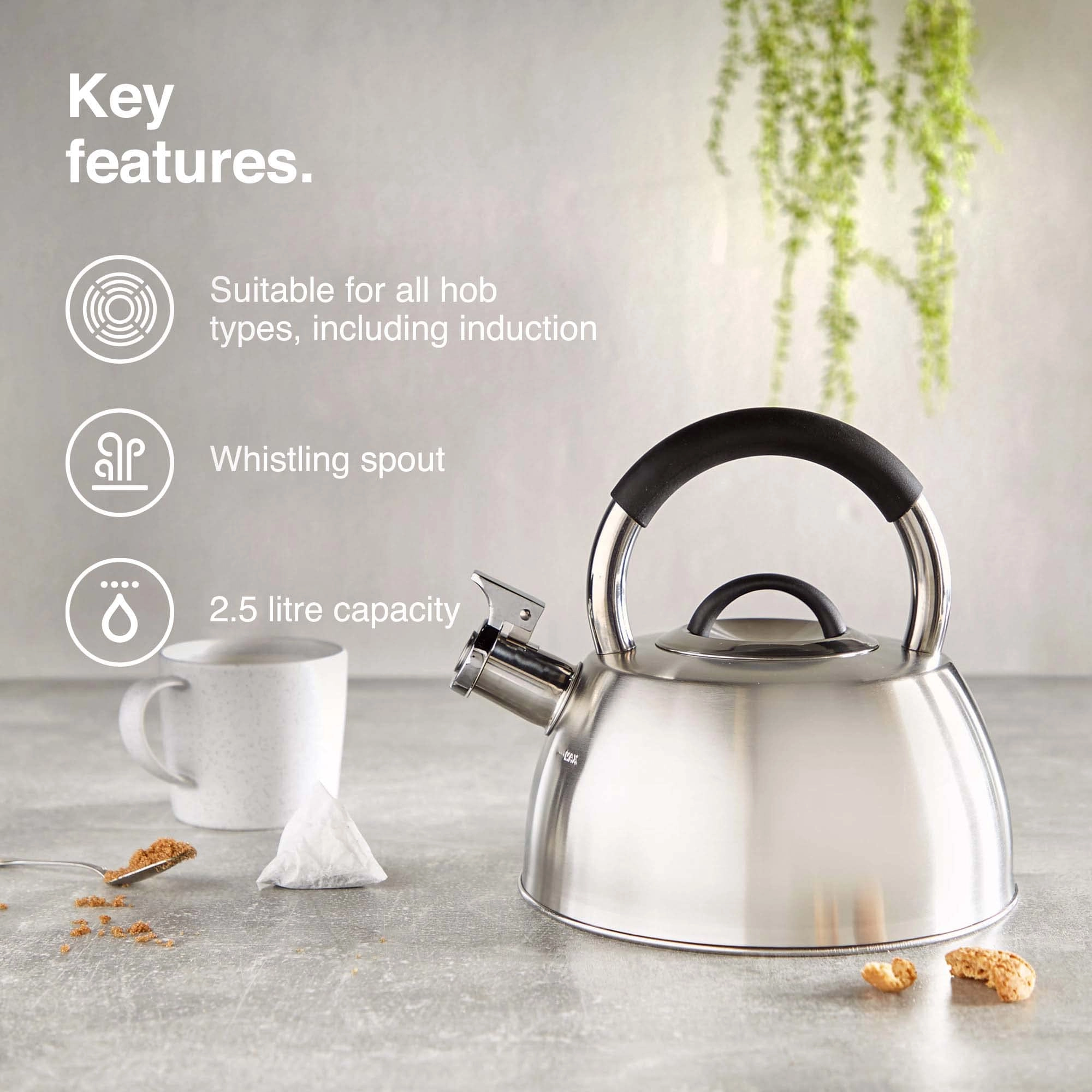 Stove Top Kettle - 2.7 litres