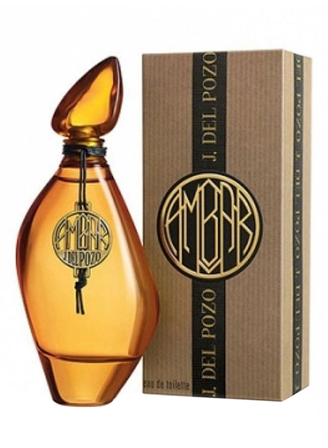 Ambar Eau de Toilette 100ml