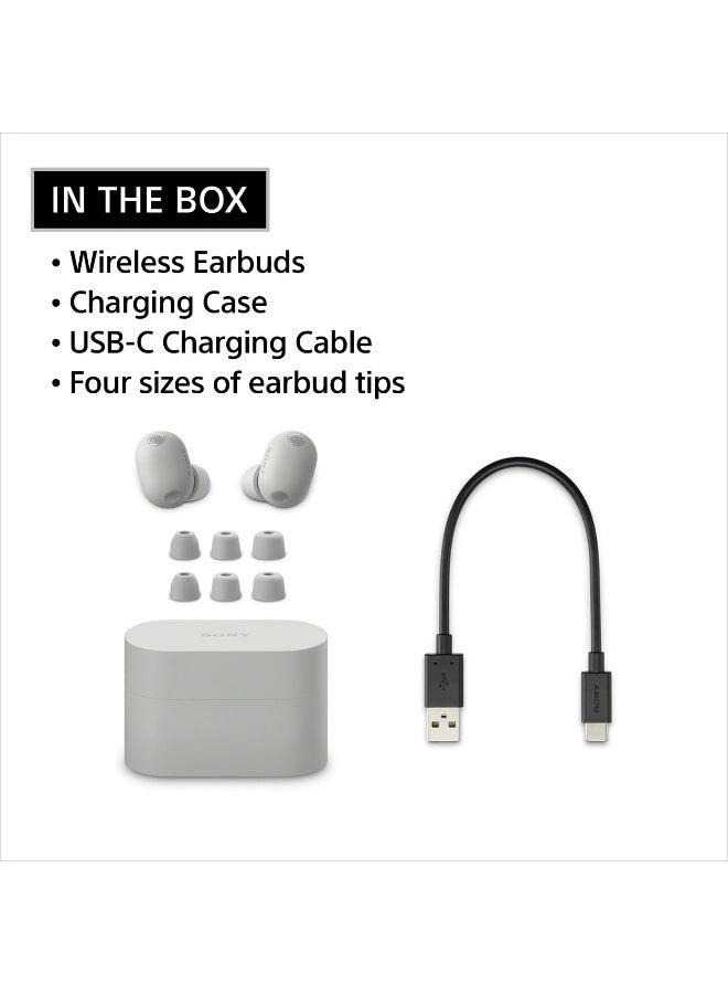 WF-1000XM6 Wireless Earbud