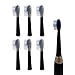 xcivi Replacement Toothbrush Heads - Sonic Black Pack