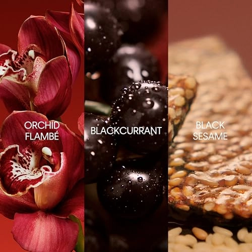 My Euphoria Eau de Parfum - 50ml