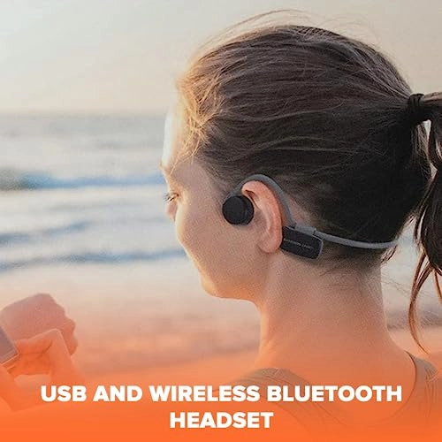 BH500 Wireless Headphone