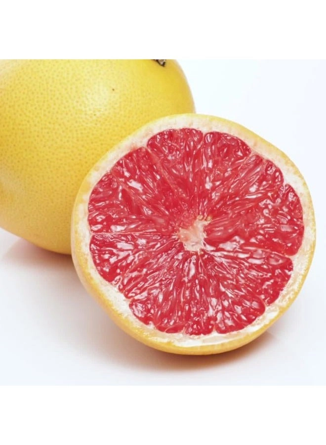 United Dreams Aim High Eau de Toilette 100ml