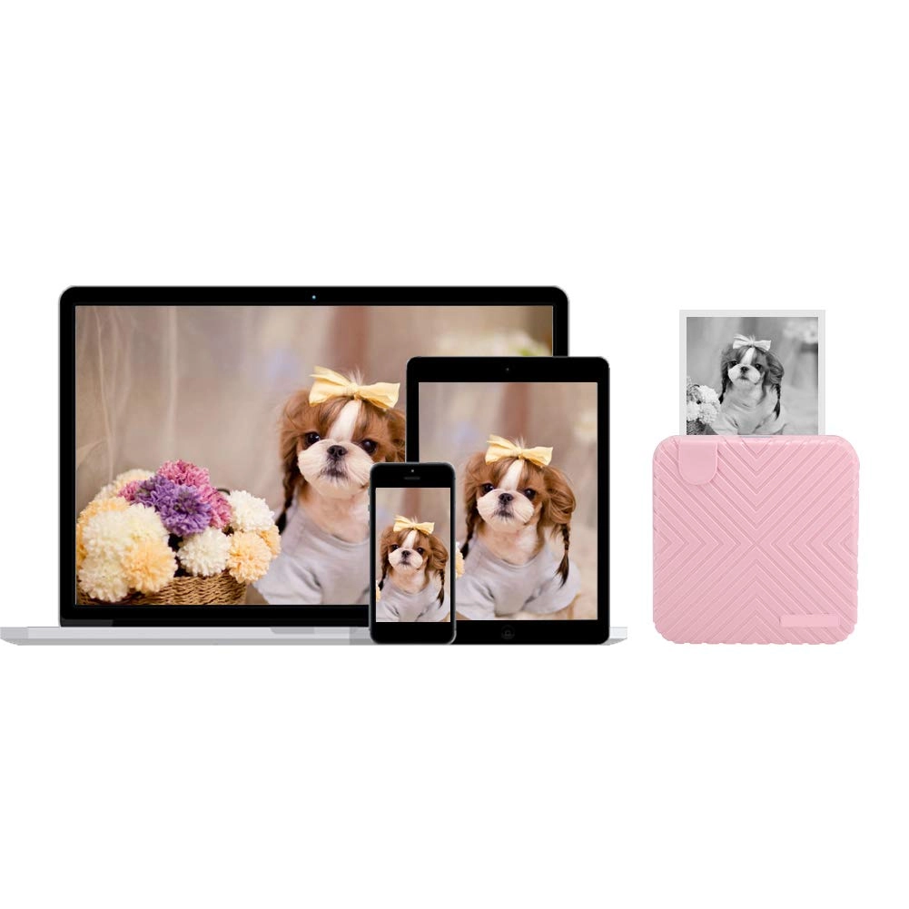 Meiyya Photo Printer