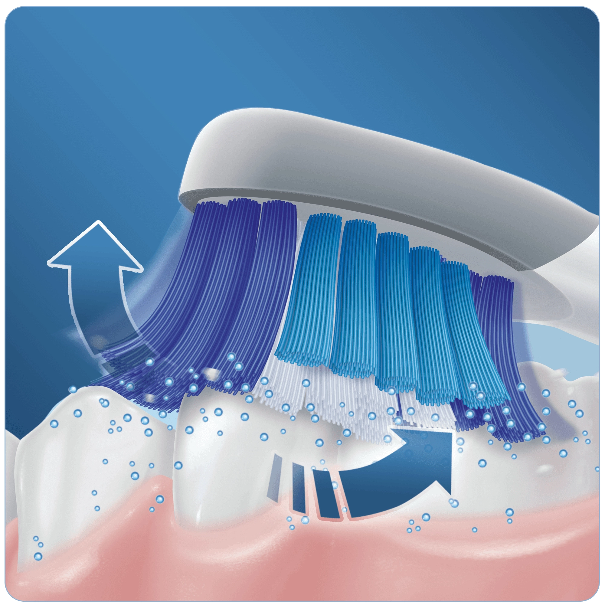 Denture Brush - 2 piece(s) Blue