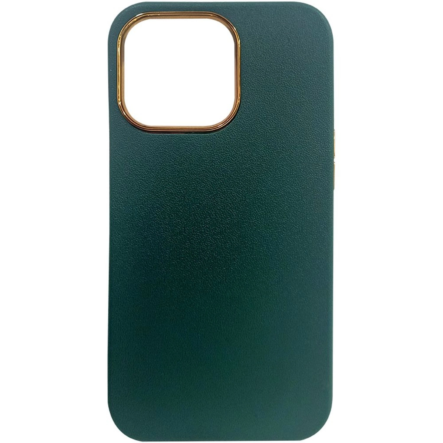 Acceon Creative Case Back Case for Apple iPhone 13 Pro