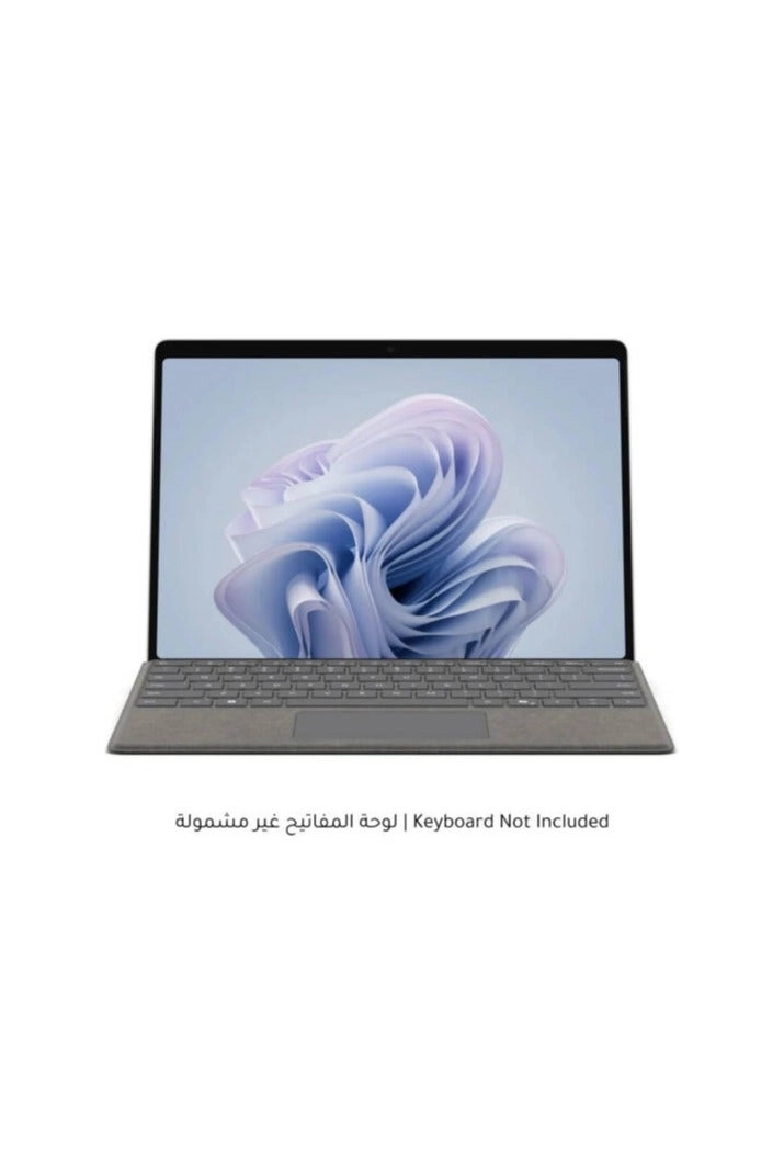 Surface Pro 10 - 1000GB 13"