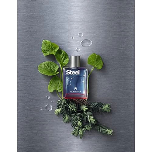 Steel Eau de Toilette 100 ml