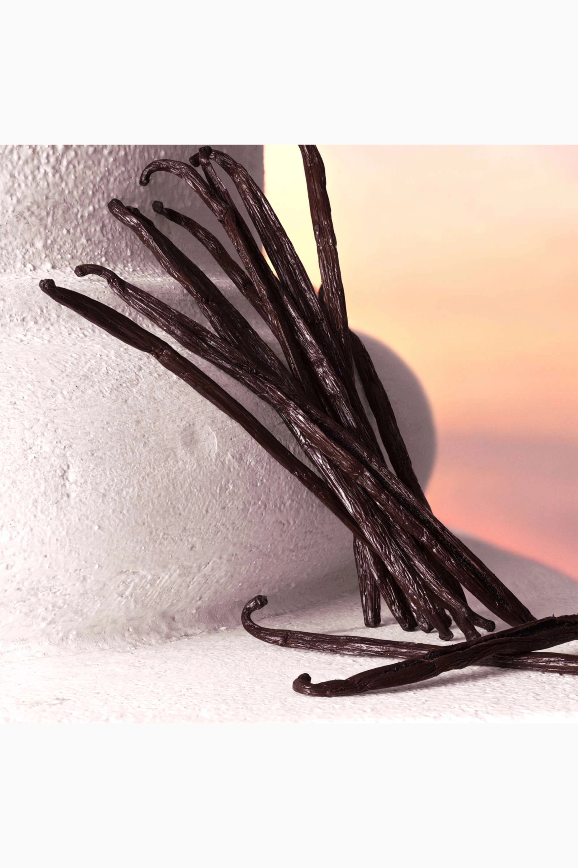 Devotion Eau de Parfum 50ml