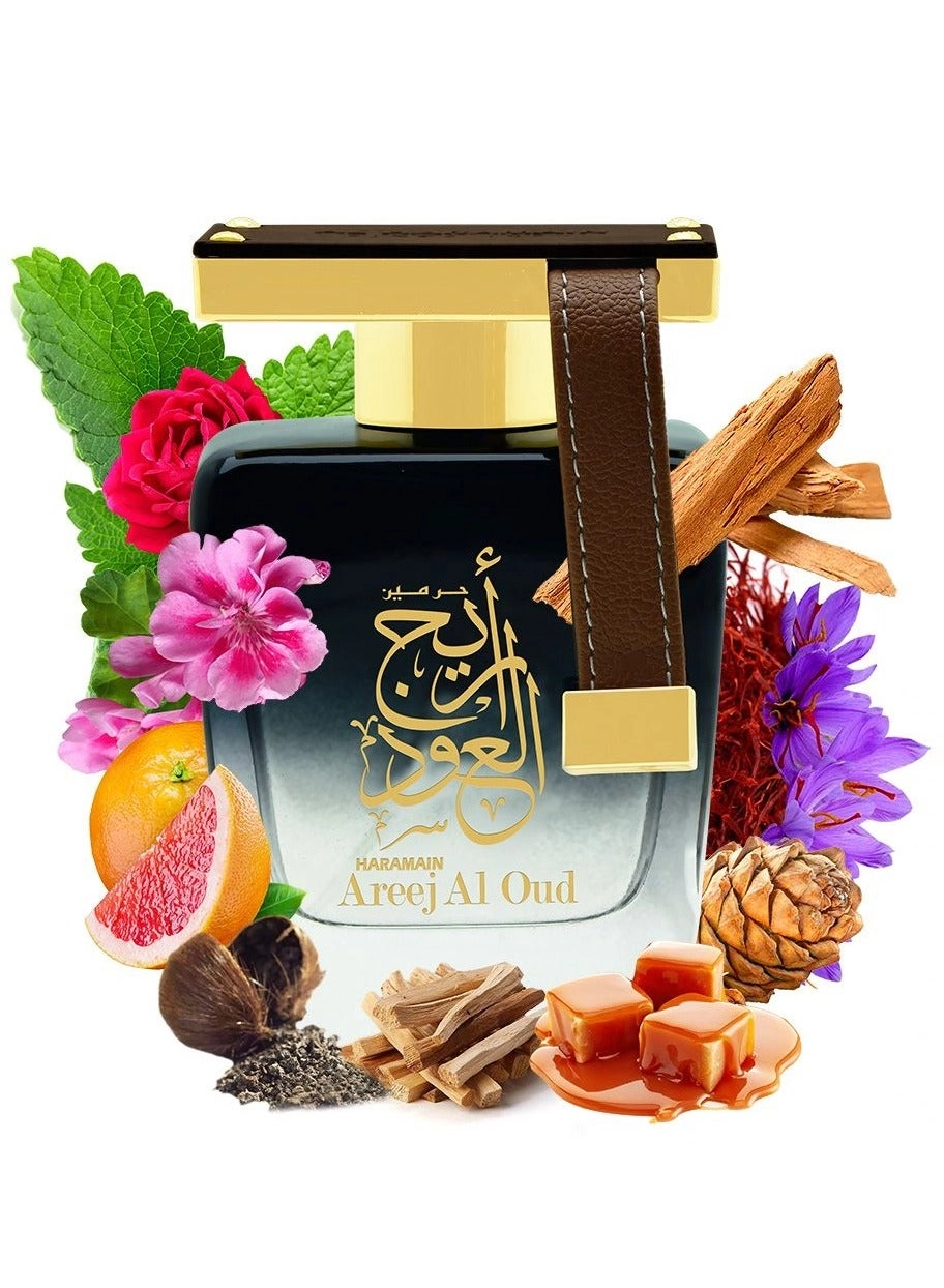Areej Al Oud Eau de Parfum 100ml