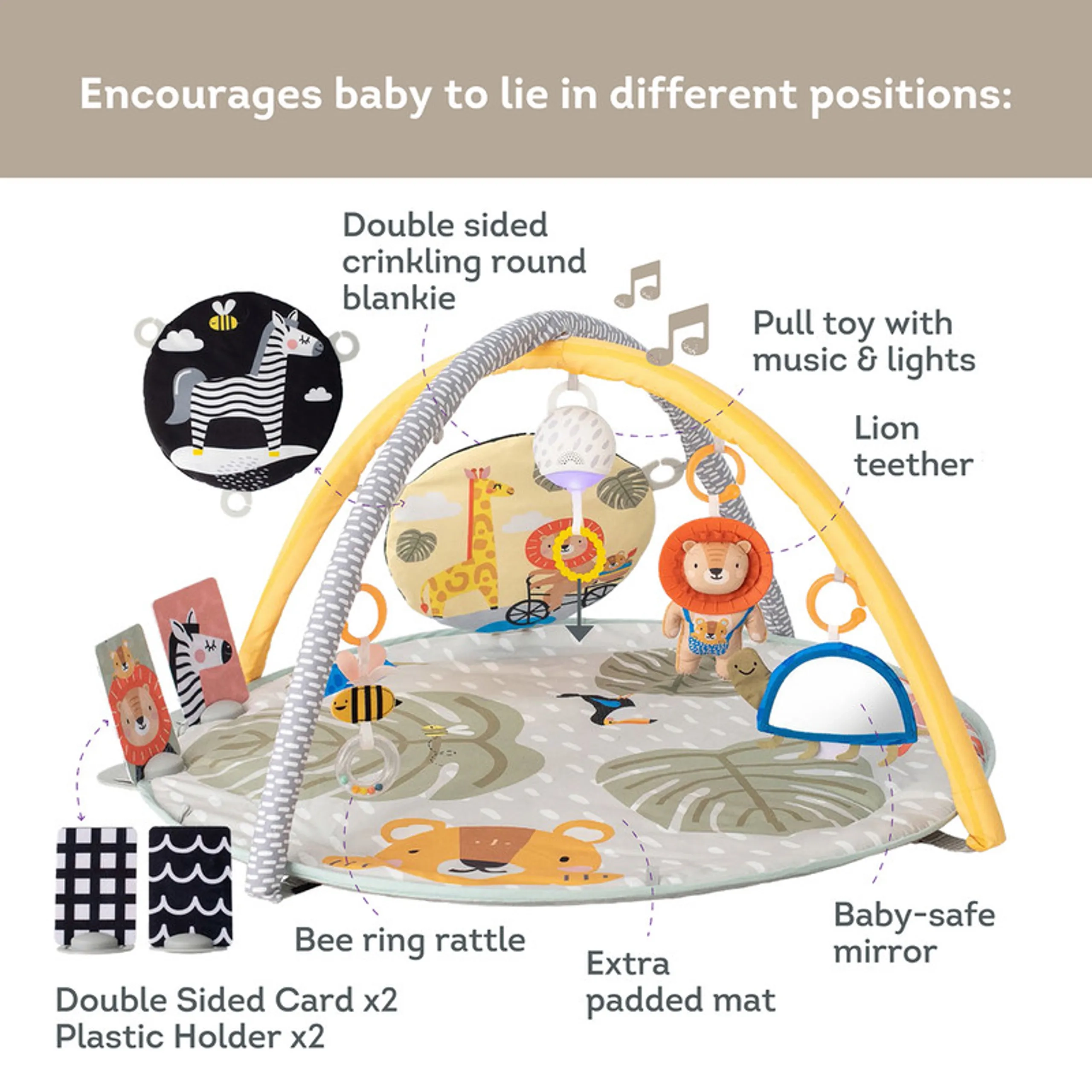 Savannah 360 Activity Gym - 0 month