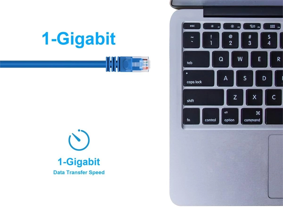 Cat6 UTP Ethernet Cable - 30FT