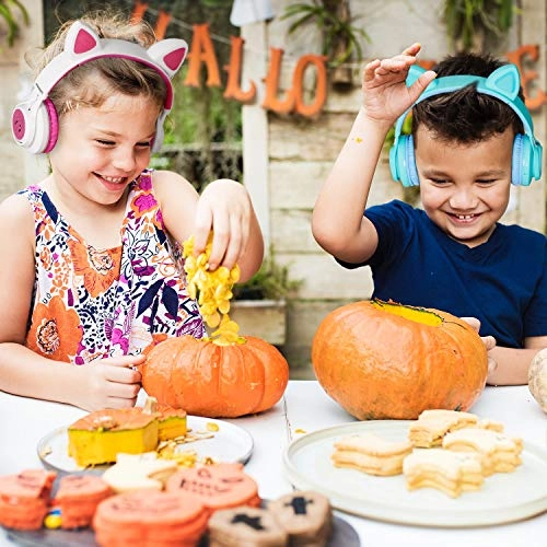 CT-7S Wireless Headphone