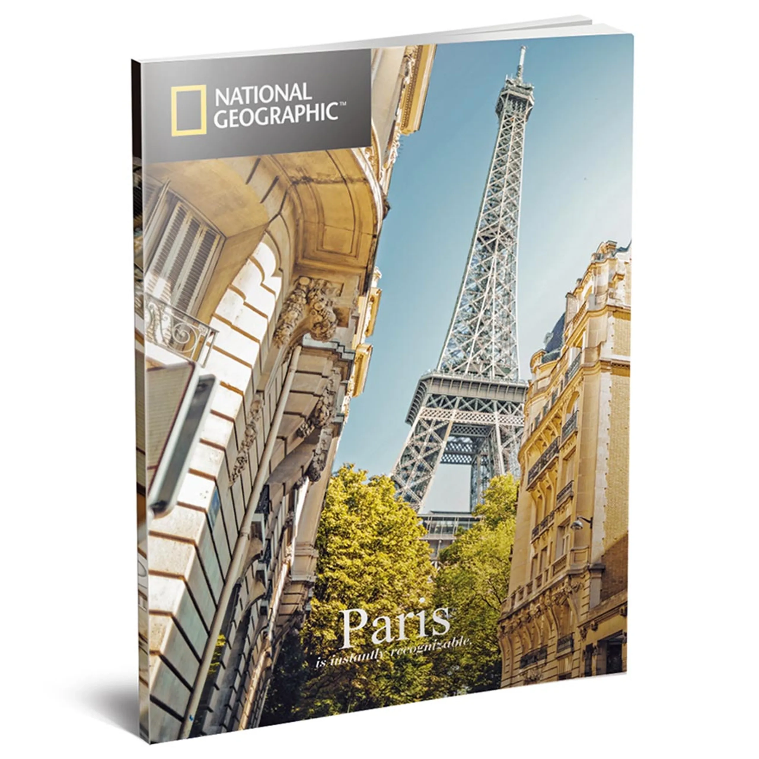 Eiffel Tower 2-in-1 3D Puzzle (AL-DS0998H) - 80 pcs