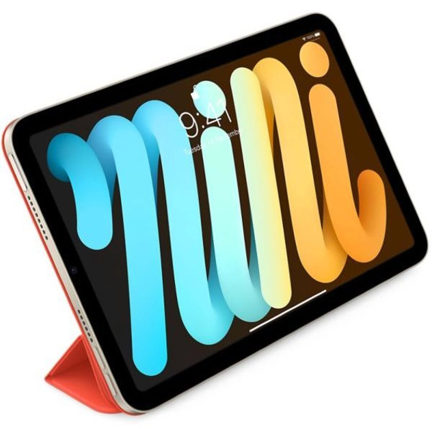 Smart Folio for iPad mini (6th generation)