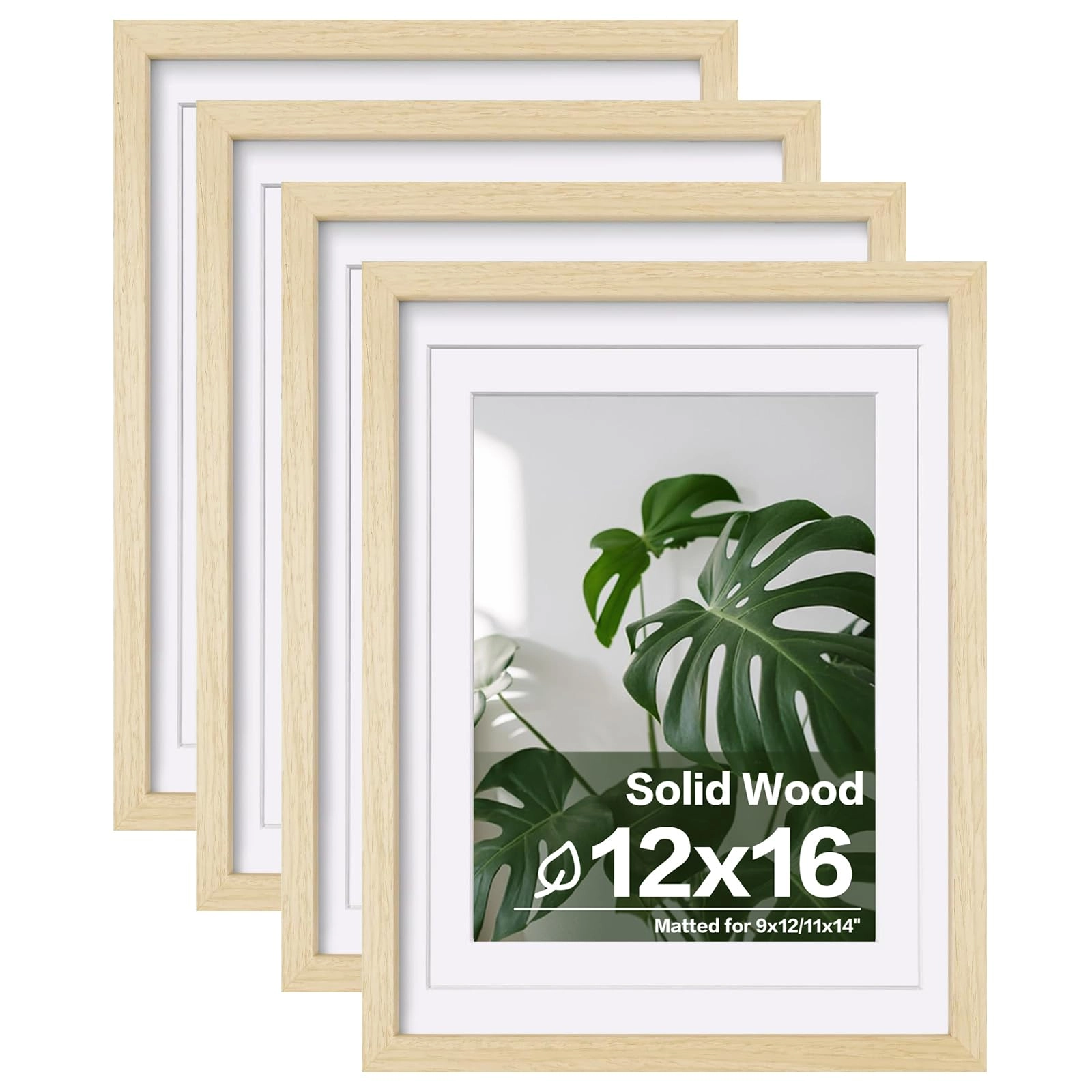 picture frames - 12x16