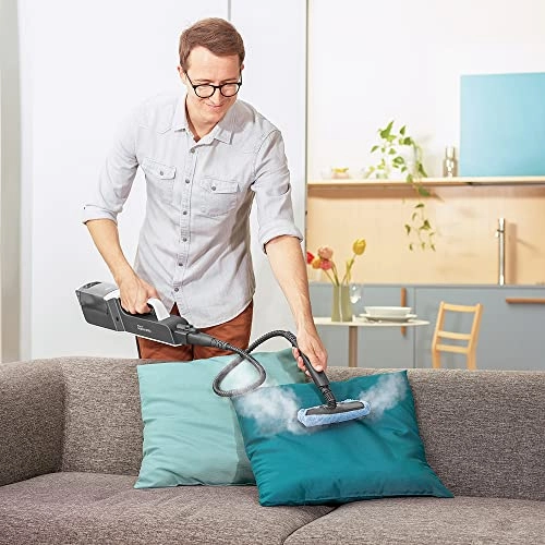 Vaporetto SV650 - 2-in-1 19 Accessories