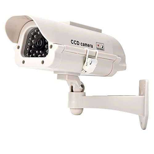 Fake Camera - Outdoor