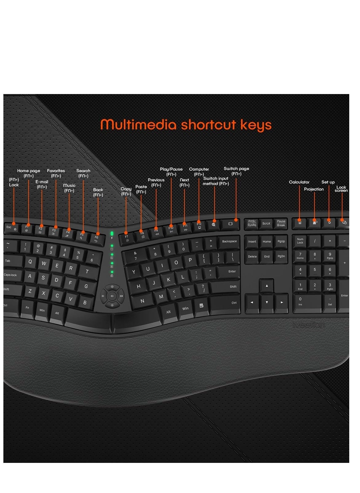 DirectorW - Wired/Wireless