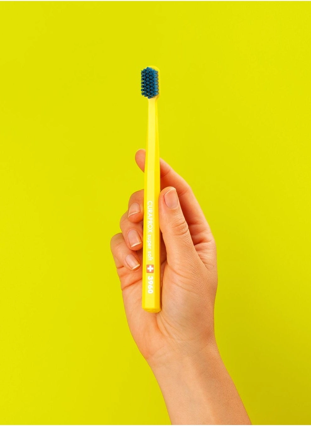 CS 3960 - Ultra Soft