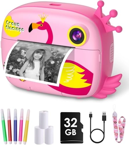 DYXJ-001 - 12MP 1080P 2.4 inch