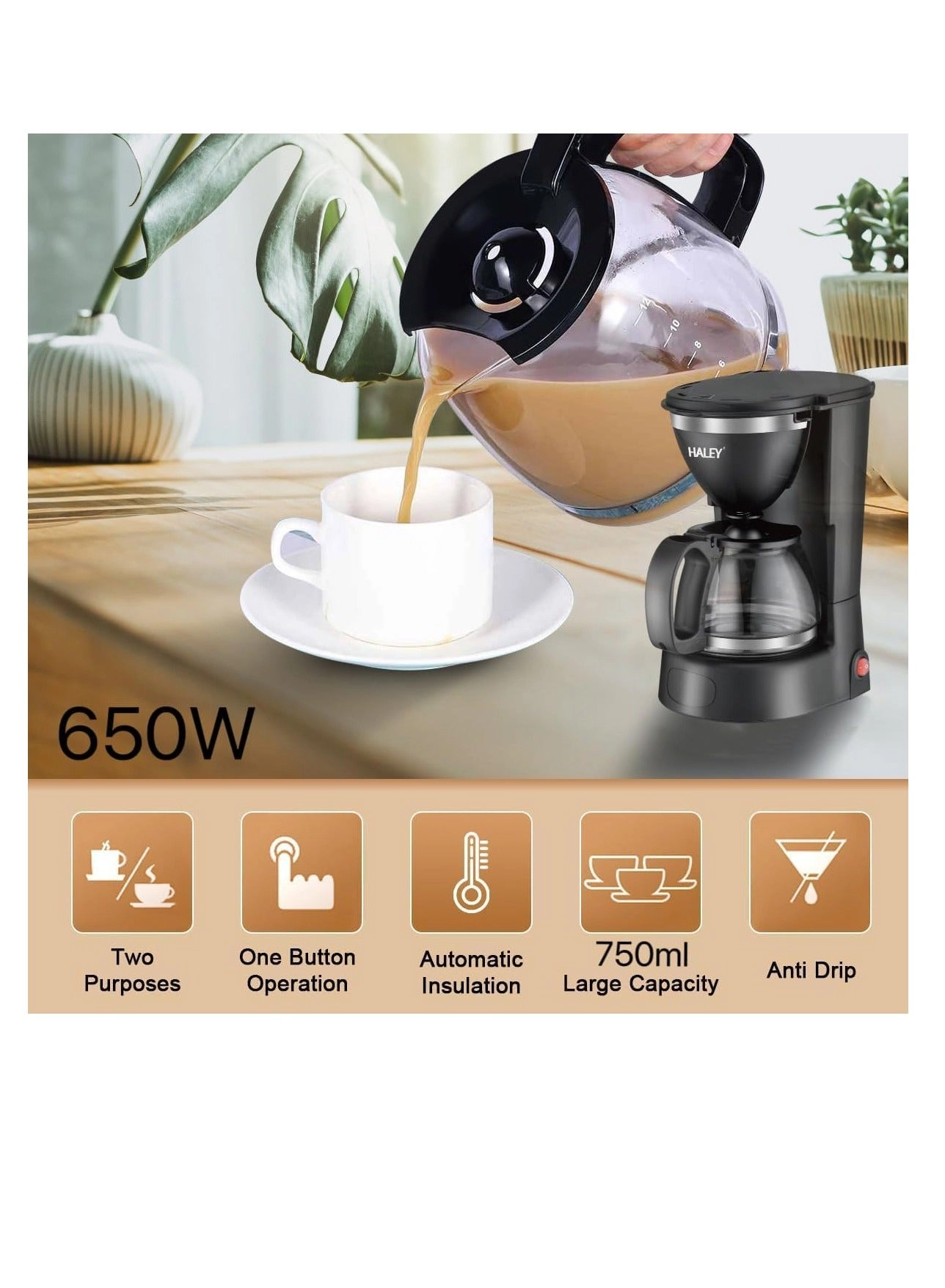 Drip Coffee Maker 6-Cup 650W B0DJCGDYCV