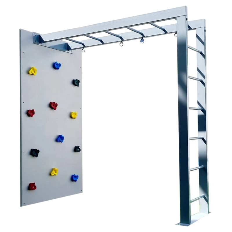 Climbing Wall with Metal Monkey Bars - 3 to 9 yrs Indoor Use