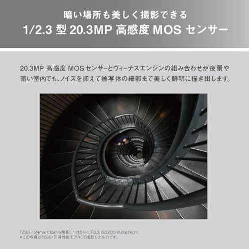 Lumix DC-TZ99