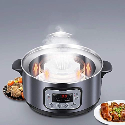 Electric Steamer - 10 Liters