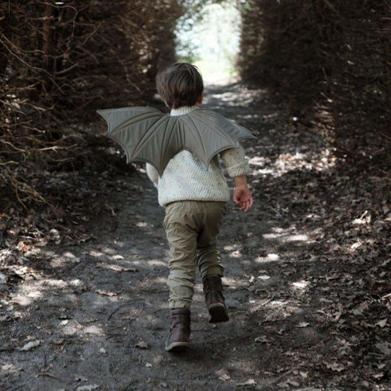 Dragon Wings - 65 x 30 cm Suitable for 2 years & above