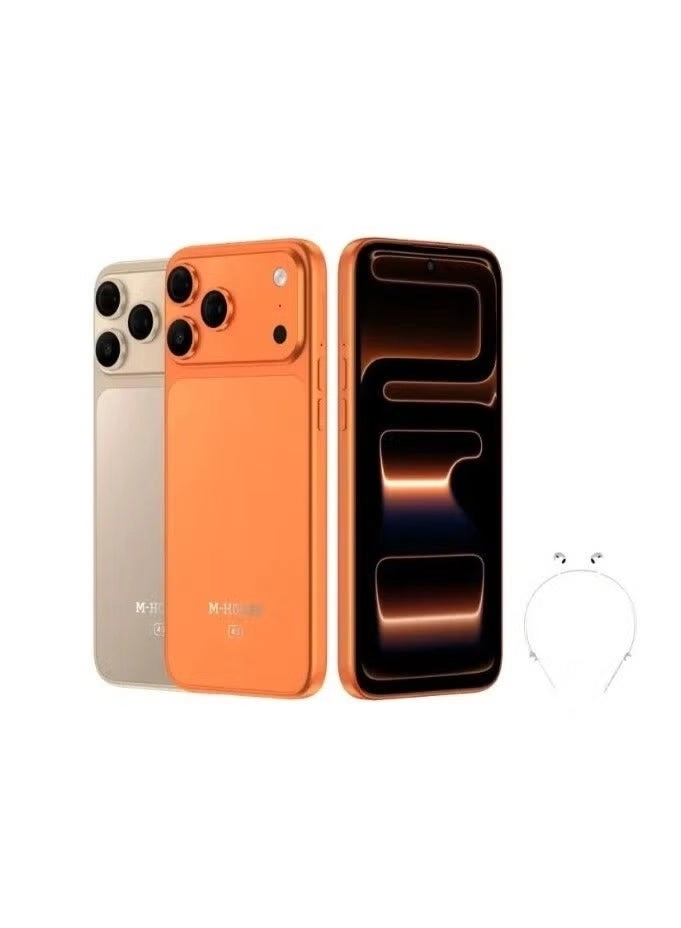 17 pro max 12GB 256GB