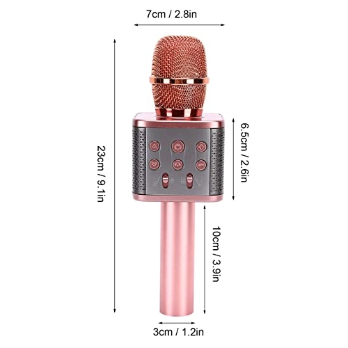 Wireless Microphone USB Microphone