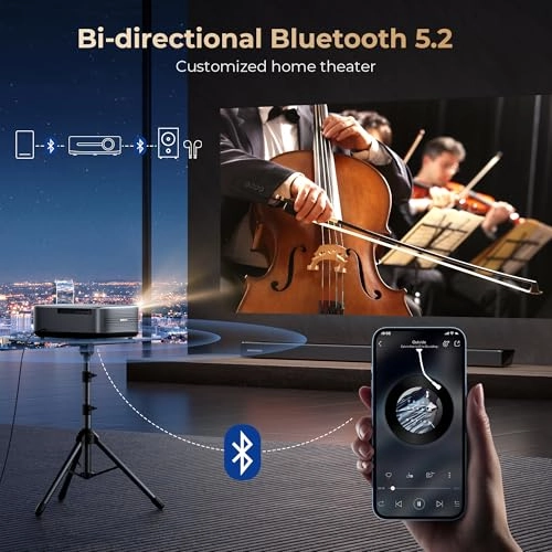 F505 V800P 1000 ANSI lumens