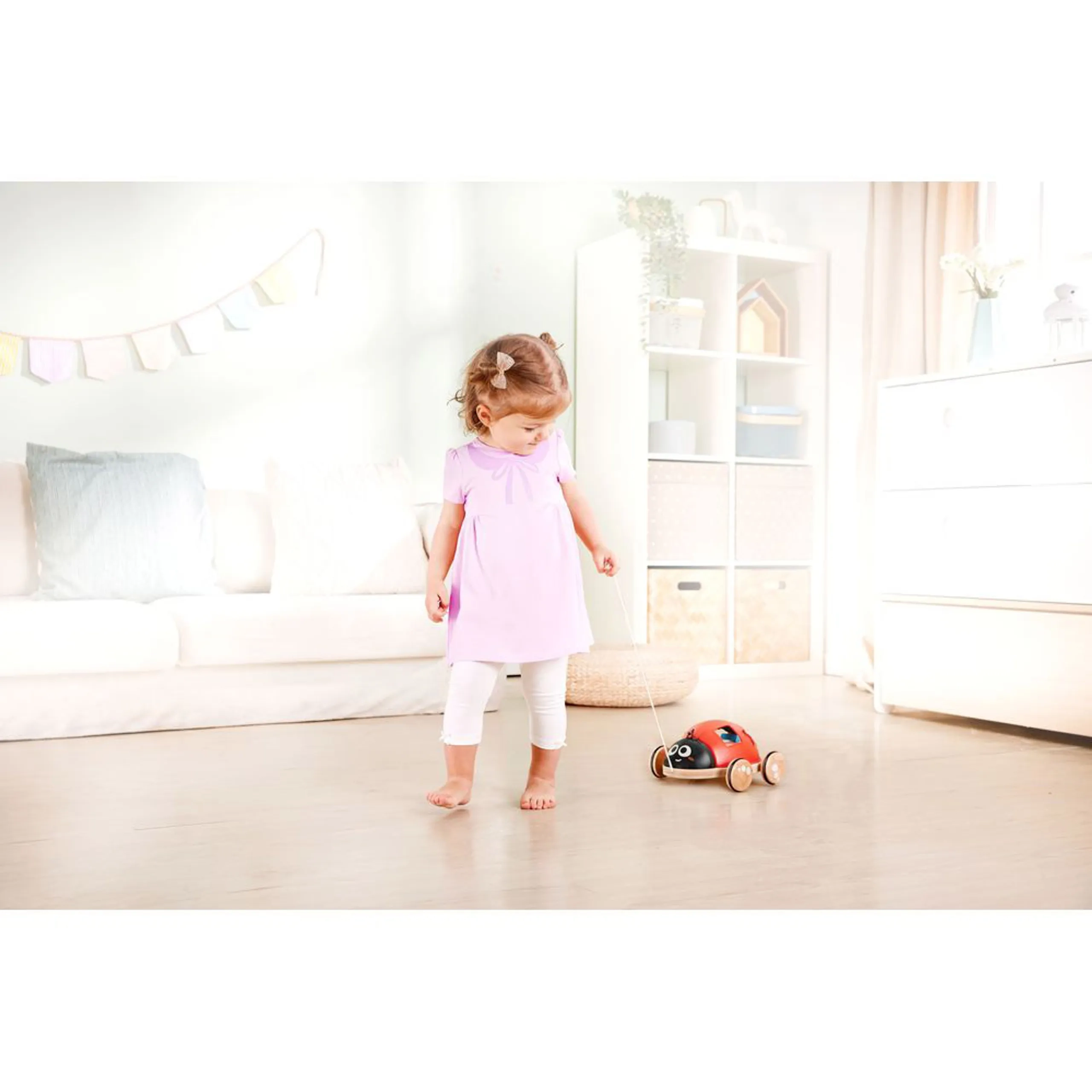 Ladybug Shape-Sorter Pull Along Toy - 5pcs Ladybug