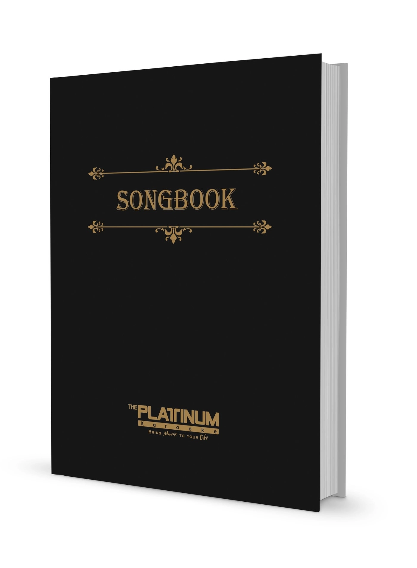 Piano V1.6 - 2 WIRED MIC