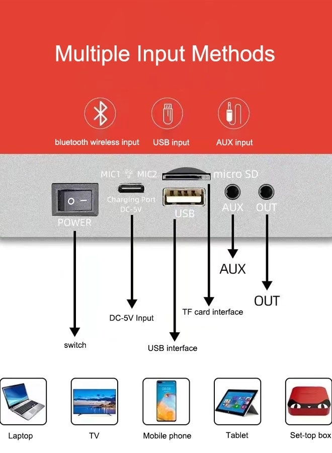 YS-232 - 2 Wireless Microphones