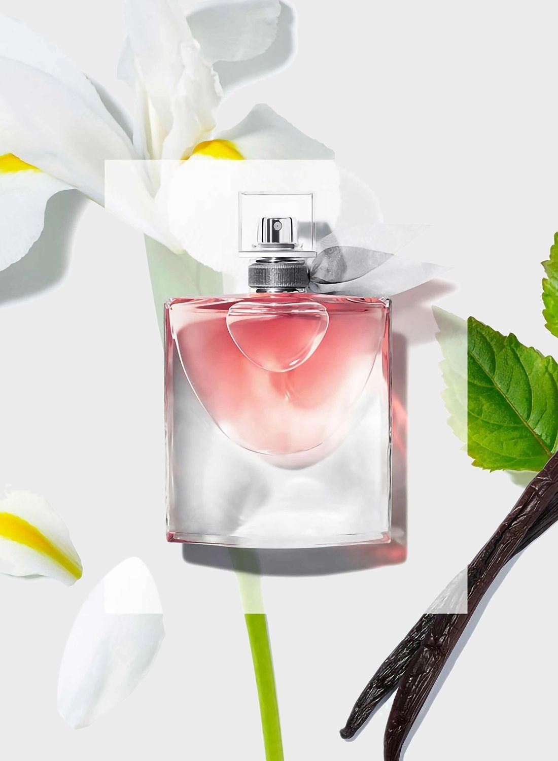 La Vie Est Belle Eau de Parfum 50 ml
