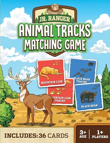 Jr Ranger - 3+ 1 pieces