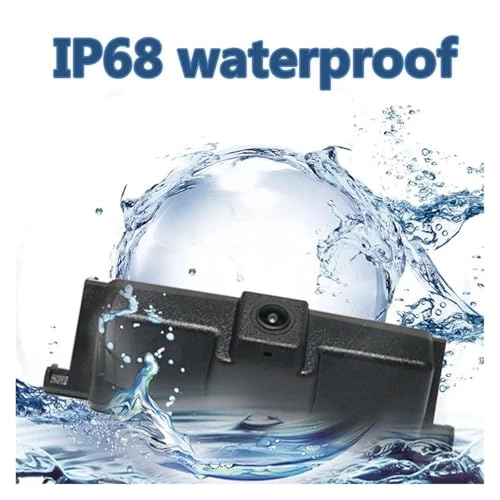 Reverse Camera - 648*488 pixels