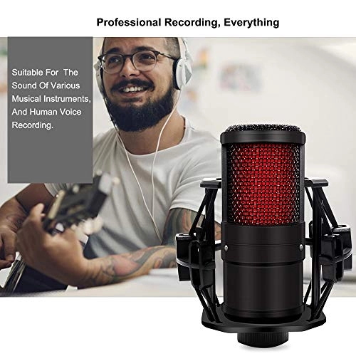 ss1/i47612 USB+3.5mm-Mini-Jack Microphone