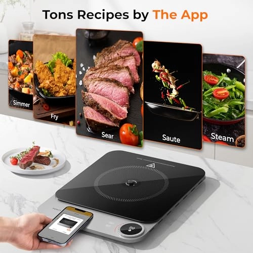 TCL02M-3A Induction hob