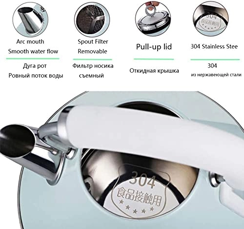 Glass Gooseneck Electric Kettle