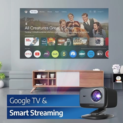 NeoPix 450 NPX 450/INT Up to 500 lumens