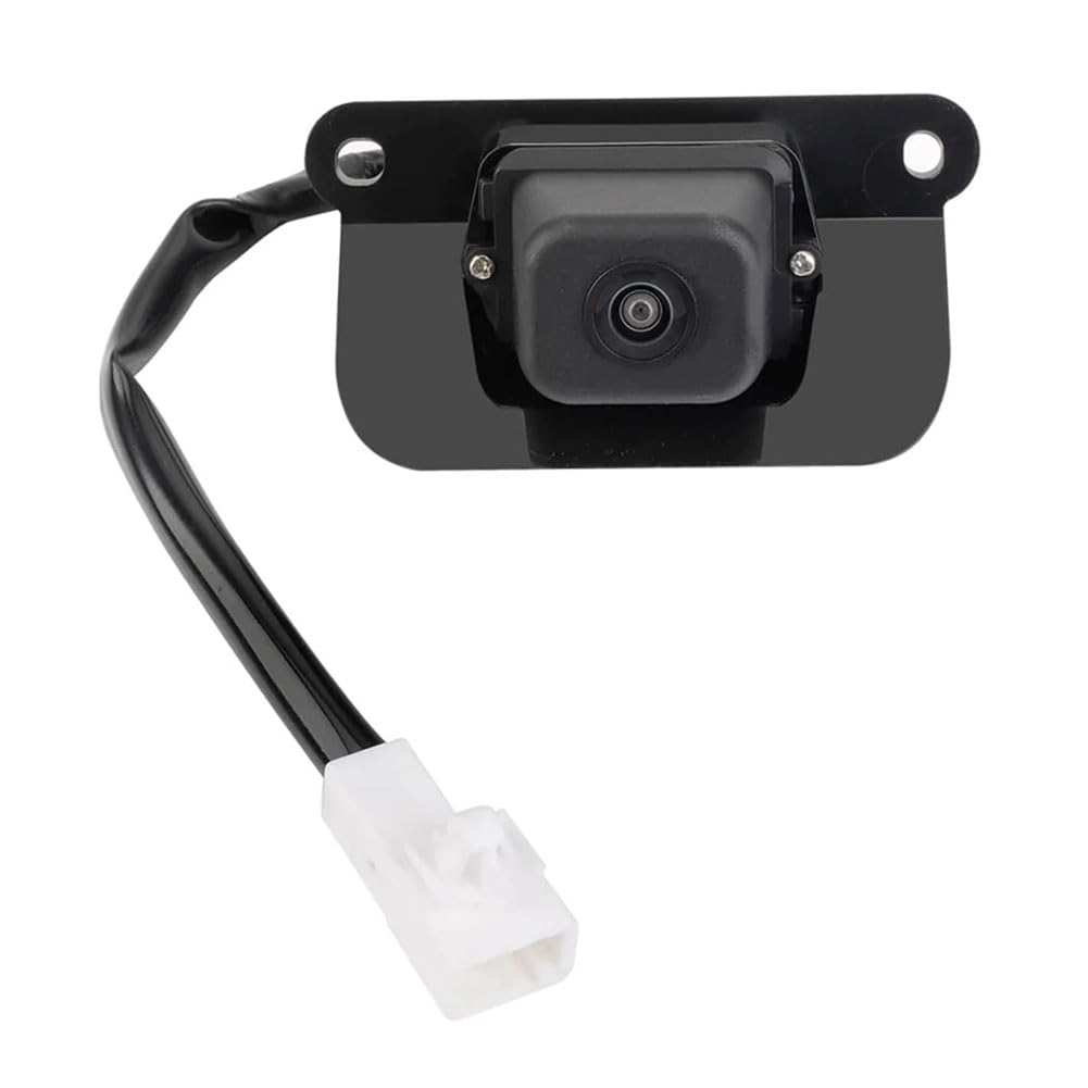 Reversing Camera - Night