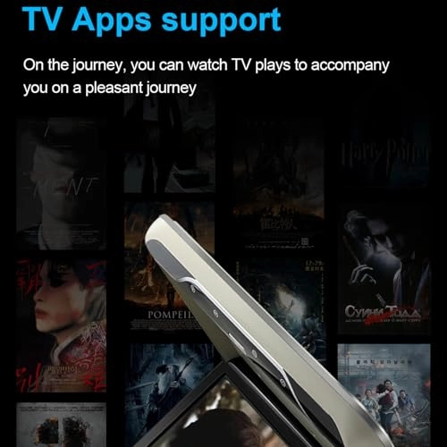 Car ceiling display - 19-Inch