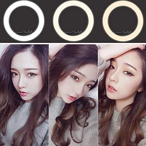 LED Ring Light - 10 inch