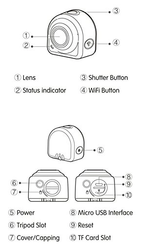 BWPODOG1 - 1080p 30FPS