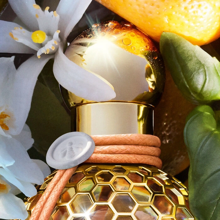 Aqua Allegoria Mandarine Basilic - Eau de Toilette 125 ml