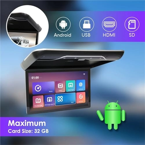 Roofmount LCD Monitor - 19in